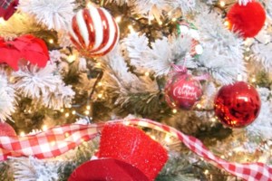 Σώστε ένα αδεσποτάκι: Τον βγάλαμε Μπέργκερ γιατί θέλουμε να τον "φάμε" - εικόνα 3