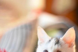 Μια χούφτα πλασματάκι ανάμεσα σε κάδο σκουπιδιών και σε αυτοκίνητα που περνούσαν ξυστά δίπλα του