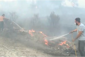 Φωτιές σε Κρήτη και Γύθειο: Αυτοί είναι οι τρεις πυροσβέστες που έχασαν την ζωή τους - Σήμερα οι κηδείες των δύο - εικόνα 7