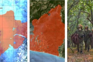 Φωτιά στον Εβρο: Πέμπτη μέρα σκληρής μάχης με τις φλόγες στο δάσος της Δαδιάς - Εκκενώθηκε το χωριό Λευκίμη - εικόνα 2