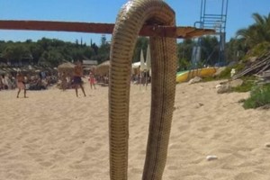 Οδύσσεια για 60χρονη στο Βόλο: Την τσίμπησε οχιά στο χέρι και η εφημερεύουσα γιατρός της ζήτησε εξηγήσεις