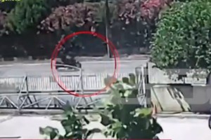 ΕΥΠ: Σε ορεινό χωριό της Ροδόπης συνελήφθη ο Τούρκος μαφιόζος - Προσπαθούσε να διαφύγει στη Βουλγαρία - Βρέθηκε και το τζιπ - εικόνα 2