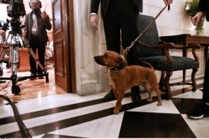 Μητσοτάκης στη Σύνοδο της ΕΕ στο Πόρτο: "Κρατήσαμε την ανεργία στα επίπεδα προ κορονοϊού" - εικόνα 3