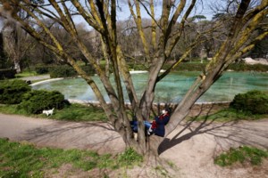 Ουγούρ Σαχίν της BioNTech: Δεν αποκλείεται να χρειαστεί τρίτη δόση του εμβολίου - Επανάληψη κάθε 2 χρόνια - εικόνα 2