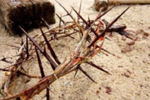 Αργολίδα: O συγκλονιστικός επιτάφιος αφιερωμένος στα θύματα των Τεμπών με 57 αγγελάκια και κατάλευκα άνθη - εικόνα 3