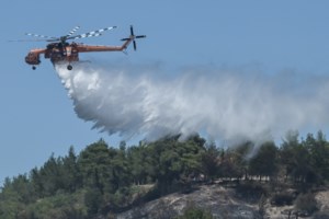 Φωτιά στη Φωκίδα: Ολονύχτια μάχη με τις φλόγες - Εκκενώθηκαν περιοχές στην Ιτέα [Εικόνες - Βίντεο] - εικόνα 5