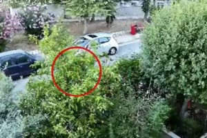 Δολοφονία στην Αγία Βαρβάρα: Με είχε καταστρέψει οικονομικά, είχε εξωσυζυγικές σχέσεις, θόλωσα...λέει ο 75χρονος