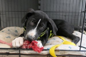 Κλάρα στα ισπανικά σημαίνει φωτεινή, λαμπερή - εικόνα 3