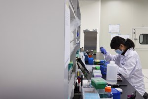 Τρομάζει η εκτόξευση του ιικού φορτίου στην Αττική κατά 171%: Τι δείχνουν τα στοιχεία ανά περιοχή - εικόνα 3