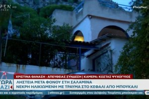Σαλαμίνα: "Η μητέρα μου δεν μπορούσε να παλέψει" - Η κόρη της 75χρονης περιγράφει τη στιγμή που τη βρήκαν νεκρή - εικόνα 4