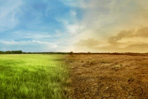 Τρία μέτρα για την αντιμετώπιση της ακρίβειας - Ψηφίζεται σήμερα η τροπολογία για μείωση τιμών στα σούπερ μάρκετ