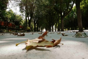 Λαμία: Άγριος καβγάς στο κέντρο της πόλης – Μία σύλληψη από την αστυνομία