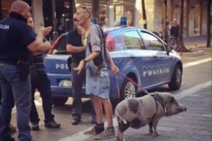 Universal Studios: Σε ψηφιακές πλατφόρμες θα κυκλοφορούν οι νέες ταινίες