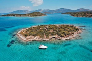 Γλυφάδα: "Θα καθαρίσω τα αφεντικά" - Με μία σφαίρα στο κεφάλι σκότωσε τη Μαρία Καρνέση, πώς γλίτωσε η αδελφή της