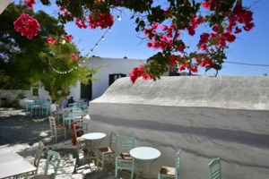 Συναγερμός στη Νάξο: Πτώμα με στολή δύτη και βατραχοπέδιλα εντοπίστηκε στη θάλασσα