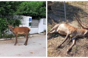 Ισόβια στον δολοφόνο του Γκόλντεν Στέιτ - To πρωί αστυνομικός, το βράδυ βιαστής