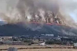 Φωτιά στη Θήβα – Στην κατάσβεση συμμετέχουν δύο αεροπλάνα και ένα ελικόπτερο