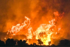 Οριοθετήθηκε η φωτιά στο Πευκόφυτο στον Άγιο Στέφανο