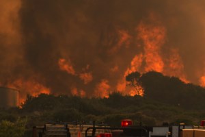Αποκάλυψη σοκ: Αφησαν τα Κύθηρα να καούν... γιατί ο αρχηγός της Πυροσβεστικής ήθελε "να φάει" τον υπαρχηγό - εικόνα 4
