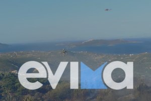 Λαμία: Φωτιά στην Υλίκη - Εξαπλώθηκε γρήγορα, συναγερμός για επέκτασή της λόγω των ισχυρών ανέμων