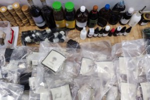 Από τη Μύκονο στη φυλακή: Πώς η Βραζιλιάνα χορεύτρια είχε στήσει εργαστήριο παρασκευής ναρκωτικών - εικόνα 8