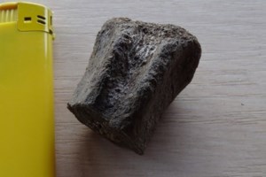 Χιλιάδες αποτυπώματα δεινοσαύρων σε κάθετο βράχο στις Άλπεις- Eντυπωσιακές φωτογραφίες και βίντεο