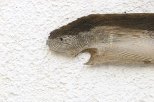 Έλενα Ακρίτα: Η αιχμηρή ανάρτηση την ημέρα του θανάτου του Κώστα Ρεσβάνη - Η κόντρα τους και το εξώδικο