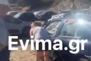 Παγκόσμια Ημέρα Σκύλου: Ο Θεός είπε αγάπα τους ανθρώπους και το άκουσαν μόνο οι σκύλοι - εικόνα 2