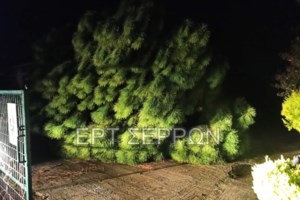 Πέλλα: Τραγικός θάνατος για 79χρονη - 28χρονος την παρέσυρε πεζή και την εγκατέλειψε αβοήθητη στον δρόμο