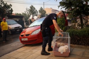 Φωτιά στο Πανόραμα της Βούλας: Καλύτερη η εικόνα της πυρκαγιάς - Ενισχύσεις από την υπόλοιπη Ελλάδα