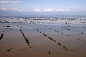 Στο δημοτικό καταφύγιο Λάρισας τα ζώα συντροφιάς - Τι θα απογίνουν αυτά που επέζησαν από τη θεομηνία - εικόνα 3