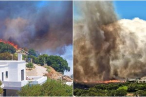 Συναγερμός στην Εύβοια: Ξέσπασε φωτιά που καίει ελιές και χαμηλή βλάστηση βόρεια των Ψαχνών - Επιχειρούν εναέρια μέσα - εικόνα 4