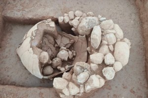 Νέα Μάκρη: Μαθητές μπήκαν σε φλεγόμενο κτήριο και έσωσαν ηλικιωμένους - "Αν χρειαστεί θα το ξανακάνουμε" [βίντεο]