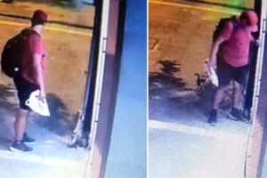 Θεσσαλονίκη: Δικηγόρος ο 39χρονος που ποδοπάτησε μέχρι θανάτου το γατάκι - Ποινική δίωξη για κακούργημα - εικόνα 3