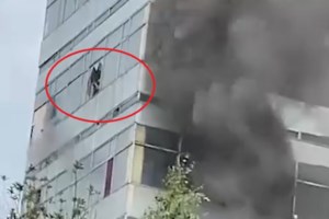 Χαβάη: Nεκρός από επίθεση καρχαρία ηθοποιός που έπαιξε στους "Πειρατές της Καραϊβικής"