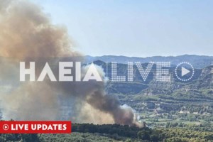 Φωτιά στην Αρχαία Ολυμπία: Χωρίς ενεργό μέτωπο στο Χελιδόνι – Μάχη με αναζωπυρώσεις και διάσπαρτες εστίες - εικόνα 4