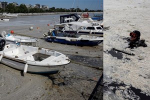 Συναγερμός στη Λήμνο για τη θαλάσσια βλέννα: Μεταβαίνει κλιμάκιο του υπ. Περιβάλλοντος - Τι λένε οι επιστήμονες [Εικόνες] - εικόνα 4