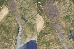 Πύρινος εφιάλτης στη Ρόδο: Εκκενώνονται Λαχανιά και Πλημμύρι - Μηνύματα 112 και στην Κέρκυρα λόγω αναζωπυρώσεων - εικόνα 2