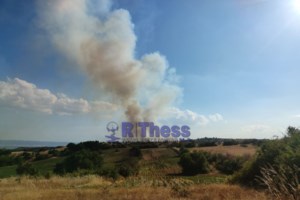 Φωτιά στη Λάρισα: Συνεχίζεται η μάχη να περιοριστεί η πυρκαγιά στην Αγιά - Κάηκε πυροσβεστικό όχημα, 2 τραυματίες πυροσβέστες [βίντεο] - εικόνα 4