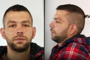 Πάτρα: Αναστάτωση σε παραλία - Μεγάλο φίδι τρόμαξε τους λουόμενους [Βίντεο]