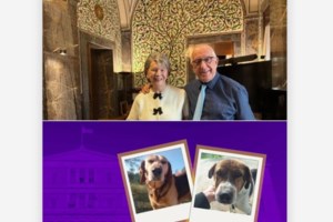 Ελενα Ακρίτα: "Όσο υπάρχουν τέτοιοι άνθρωποι, υπάρχει και ελπίδα"  - Θυμάστε τον Μπίλι το κακοποιημένο κουτάβι με τα τρία πόδια - εικόνα 2