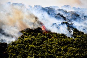 Φωτιά στα Ψαχνά Ευβοίας: Διακοπή ρεύματος σε πολλές περιοχές