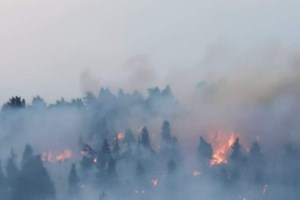 Φωτιά στη Χαλκιδική: Βελτιωμένη η εικόνα στα μέτωπα - Ισχυρές δυνάμεις της πυροσβεστικής - εικόνα 2