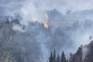 Φωτιά στο Μαρμάρι της Καρύστου: Καίγεται δασική έκταση - Μεγάλη κινητοποίηση της Πυροσβεστικής