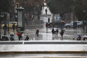Τσατραφύλλιας: Υποτροπικός αεροχείμαρρος φέρνει την άνοιξη μέσα στο χειμώνα