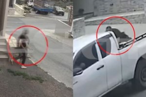 Ρόδος: Με την οικογένεια μέσα "γάζωσαν" το σπίτι του επιχειρηματία - Είναι ο ιδιοκτήτης του beach bar με τους σερβιτόρους στη θάλασσα - εικόνα 2