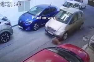 Σύλληψη και πρόστιμο 45.000 ευρώ στην 63χρονη που πάτησε εν ψυχρώ σκύλο - Πρόστιμο και στην ιδιοκτήτριά του