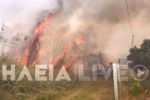 Πάνω από 3.600 πυρκαγιές στην Ελλάδα από την αρχή της αντιπυρικής περιόδου: Η κατάσταση στα πύρινα μέτωπα