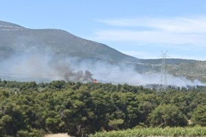 Φωτιά στη Ριτσώνα: Οι δασοκομάντος εν δράσει - Καταλυτικός ο ρόλος στον περιορισμό της πυρκαγιάς [βίντεο]
