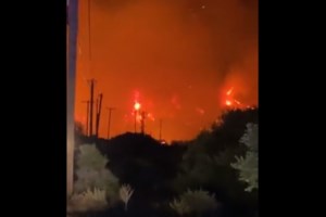 Έγκλημα στην Κερατέα: Τραγική ειρωνεία - Η 86χρονη που σκότωσε ο γιος της είχε σωθεί από τη φωτιά του Αυγούστου - εικόνα 5